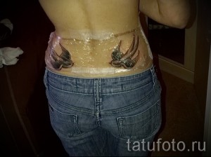Фото тату двух ласточек на пояснице девушки, сразу после нанесения, с защитной пленкой. Татуировка выполнена в черно-серых тонах.