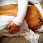 swallow tattoo on his stomach - an example of the photo 2