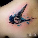 swallow tattoo on the blade - Photo example 3