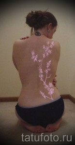Фото тату: длинная ветка цветущей сакуры с розовыми цветами на спине девушки. Красивый рисунок татуировки.