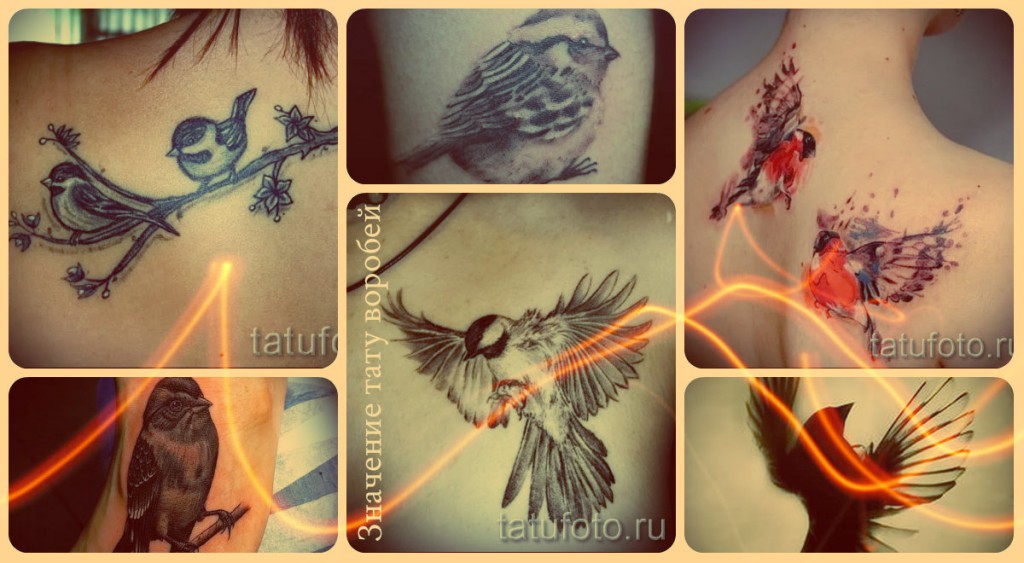 Значение тату воробей - примеры готовых татуировок на фотографиях