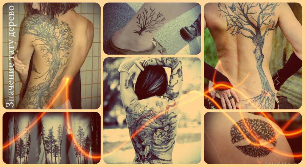 Значение тату дерево - фото примеры готовых татуировок