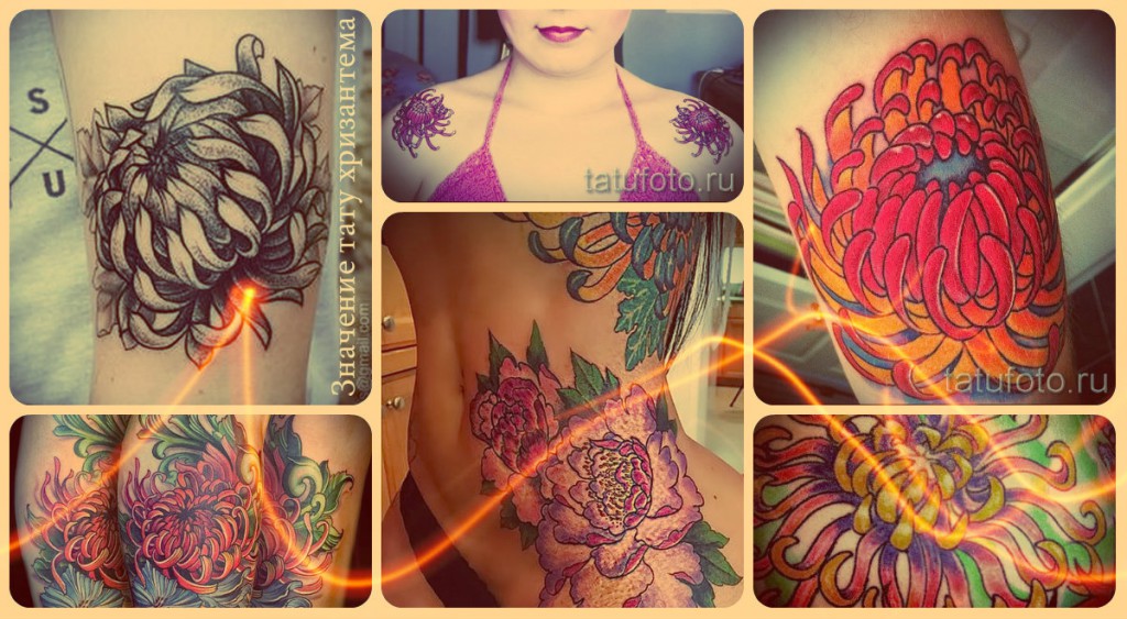 Значение тату хризантема - варианты готовых татуировок на фото
