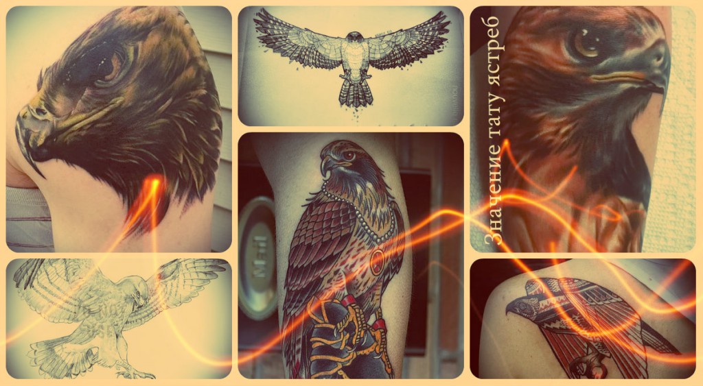 Значение тату ястреб - фото готовых татуировок