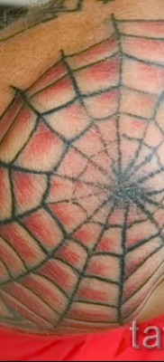 Тату паутина на локте — фото готовой татуировки — 20122015 № 9