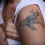 Фото готовой тату знак зодиака телец - реалистичный бык на левом плече
