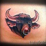 Фото готовой тату знак зодиака телец - татуировка которая сделана вокруг соска - кольцо в носу быка - пирсинг в соске
