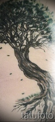 Фото тату дерево — рисункb для тату 09122015 № 136