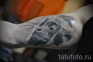 Фото реалистичной татуировки мордочки обезьяны с выразительными глазами. Черно-серый рисунок на руке.