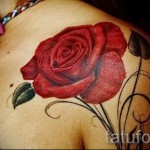 тату красный цветок - фото классной татуировки от 21122015 № 2