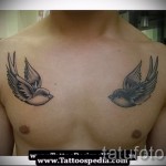 две ласточки в мужской и стильной тату на грудь - фото