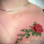 тату на груди розы - фото вариант от 15122015 № 35