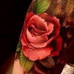 тату роза реализм - фото вариант от 15122015 № 4