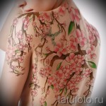 Фото тату цветущей сакуры и колибри на женском плече и спине. Рисунок выполнен в ярких розовых, зеленых и голубых тонах, с детально прорисованными цветами и птицей.
