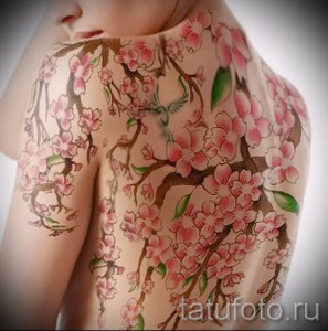 Фото тату цветущей сакуры и колибри на женском плече и спине. Рисунок выполнен в ярких розовых, зеленых и голубых тонах, с детально прорисованными цветами и птицей.