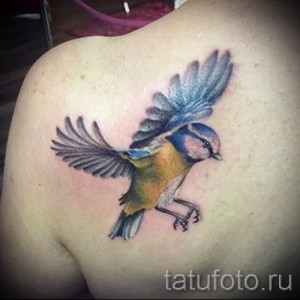 Фото акварельной татуировки птички на лопатке. Нежные пастельные тона, реалистичное изображение, воздушный стиль.