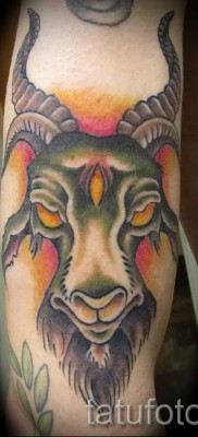 Тату козел — фото готовой татуировки от 10012016 10