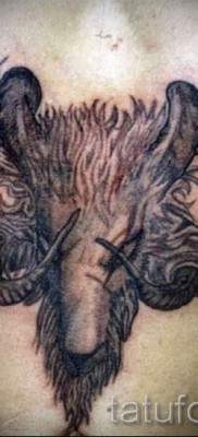 Тату козел — фото готовой татуировки от 10012016 27