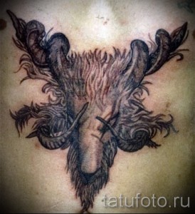 Фото тату головы козла, выполненной в технике blackwork на спине. Детализированная проработка шерсти и рогов.