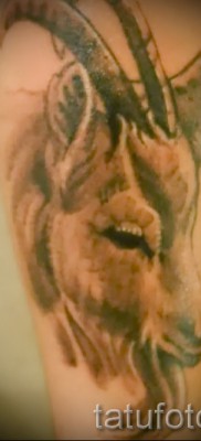 Тату козел — фото готовой татуировки от 10012016 31