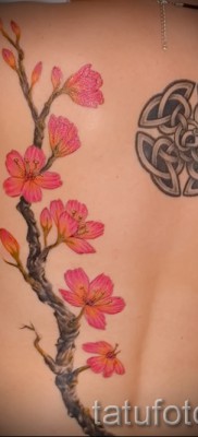 тату вишня цветущая — примеры татуировки на фото от 30012016 3