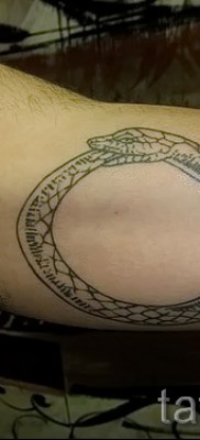 тату уроброс — фото готовой татуировки от 09012016 8