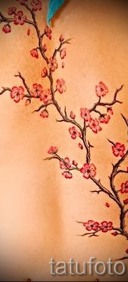цветы вишни тату — примеры татуировки на фото от 30012016 1