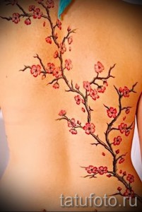 Фото тату: татуировка ветви сакуры на женской спине. Детализированный рисунок татуировки с использованием розовых и коричневых оттенков.