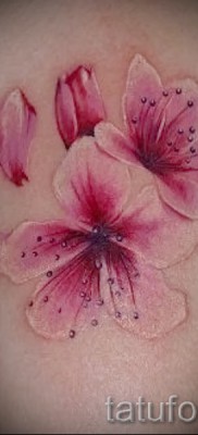 цветы вишни тату — примеры татуировки на фото от 30012016 5