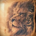 lion tatouage sur les côtes - une photo avec un tatouage sur l'exemple 03022016 2