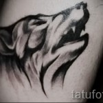 motif de tatouage loup - photo exemple pour la sélection de 28022016 5