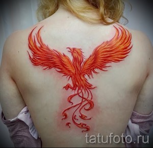 phoenix tatouage pour les filles - une photo du tatouage fini sur 11022016 1