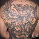 phoenix tatouage sur le dos - une photo du tatouage fini 11022016 3