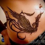 phoenix tatouage sur le ventre - une photo du tatouage fini 11022016 1
