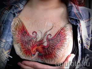 Фото свежей татуировки феникса на груди, еще покрытой защитной пленкой. Яркий рисунок с распахнутыми крыльями и детализированными перьями.