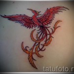 phoenix tattoo - a photo of the finished tattoo on 11022016 1