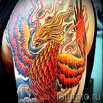 phoenix tattoo on his shoulder - a photo of the finished tattoo 11022016 2