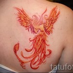 phoenix tattoo on the back of the photo - the photo of the finished tattoo 11022016 1