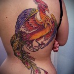 phoenix tattoo on the back of the photo - the photo of the finished tattoo 11022016 2