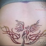 phoenix tattoo on the lower back - a photo of the finished tattoo 11022016 3
