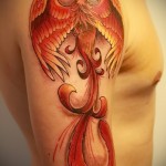 phoenix tattoo photos - photos of the finished tattoo 11022016 1