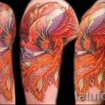 photo phoenix tattoo on his arm - a photo of the finished tattoo 11022016 2