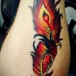 plume de phénix tatouage - une photo du tatouage fini sur 11022016 2