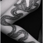 snake tattoo on her hip - examples of finished tattoo photos 01022016 4