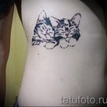 tatouage sur les bords de la cat - Photo exemple d'un tatouage sur 03022016 1