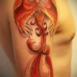 tattoo fire phoenix - a photo of the finished tattoo on 11022016 1