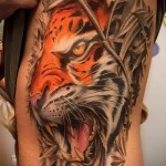 tiger tattoo on the ribs - a photo with a tattoo on the example 03022016 1