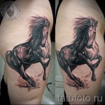 тату на бедре лошадь - примеры готовых тату в фотографиях 01022016 1