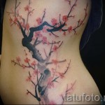 тату на ребрах сакура - фотография с примером татуировки от 03022016 2