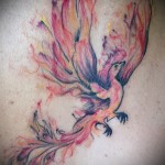 тату феникс акварель - фото готовой татуировки от 11022016 1